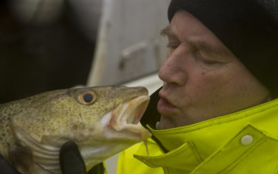 Fersk fisk i helgene