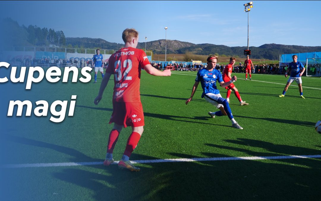 Bjarg-Brann i NM!