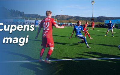 Bjarg-Brann i NM!